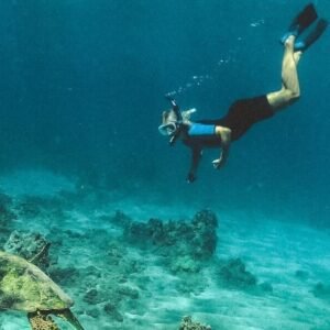 Scuba Diving Charter in  Boyton Beach